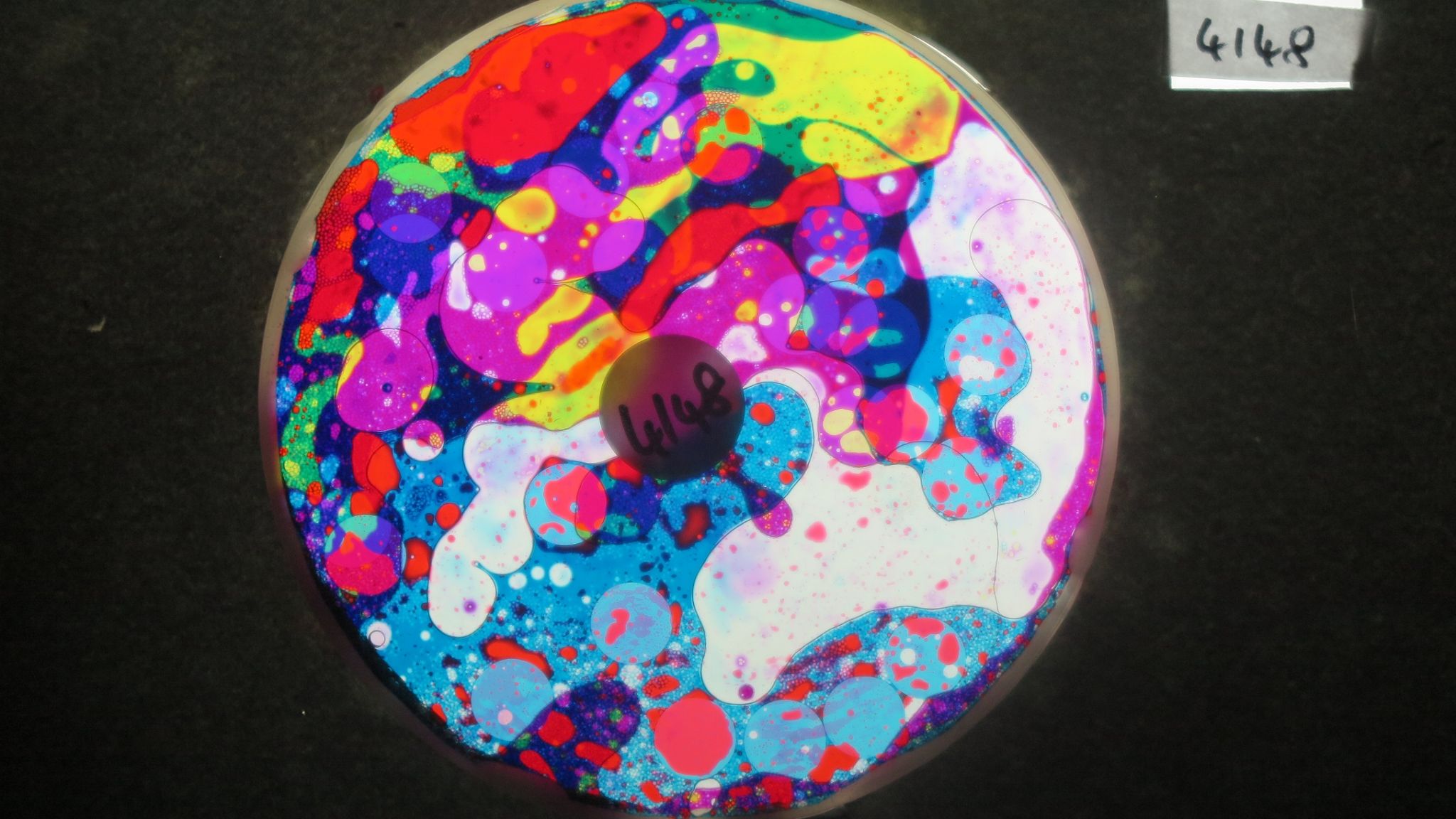 BV4148 bubble vision oil wheel